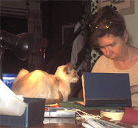 Binding a book with my "supervisor" looking on!