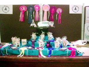 Rosettes and prizes