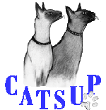 Catsup's Logo
