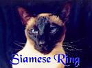 Siamese Cat Ring